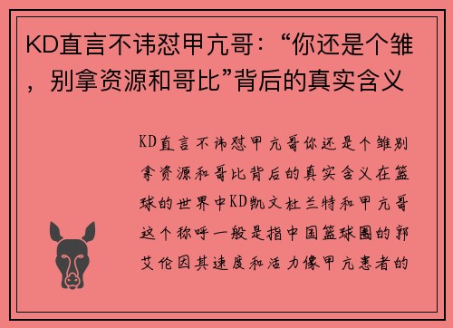 KD直言不讳怼甲亢哥：“你还是个雏，别拿资源和哥比”背后的真实含义