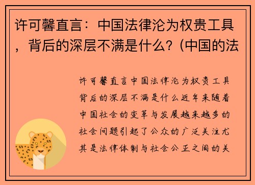 许可馨直言：中国法律沦为权贵工具，背后的深层不满是什么？(中国的法律知乎)