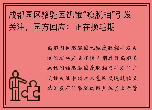 成都园区骆驼因饥饿“瘦脱相”引发关注，园方回应：正在换毛期